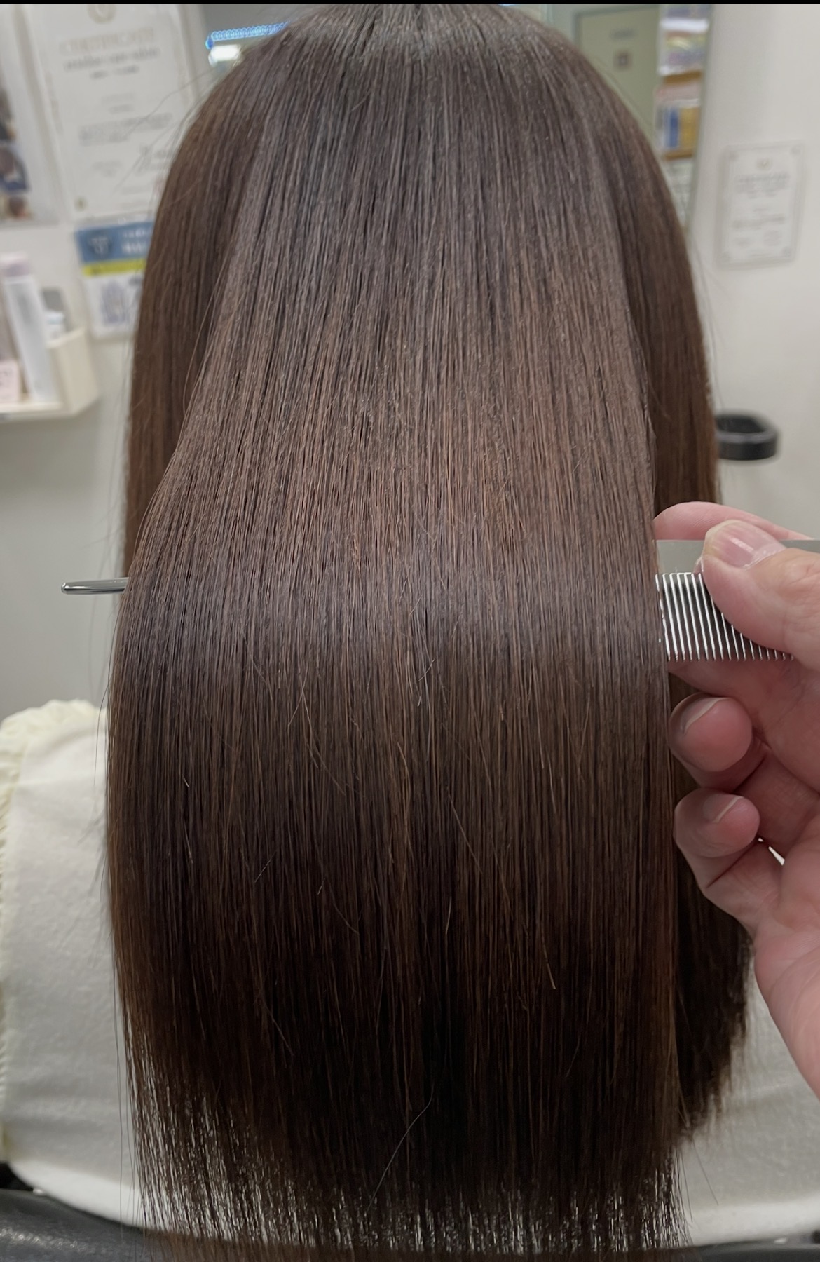 レブエステ・メテオカラーの画像