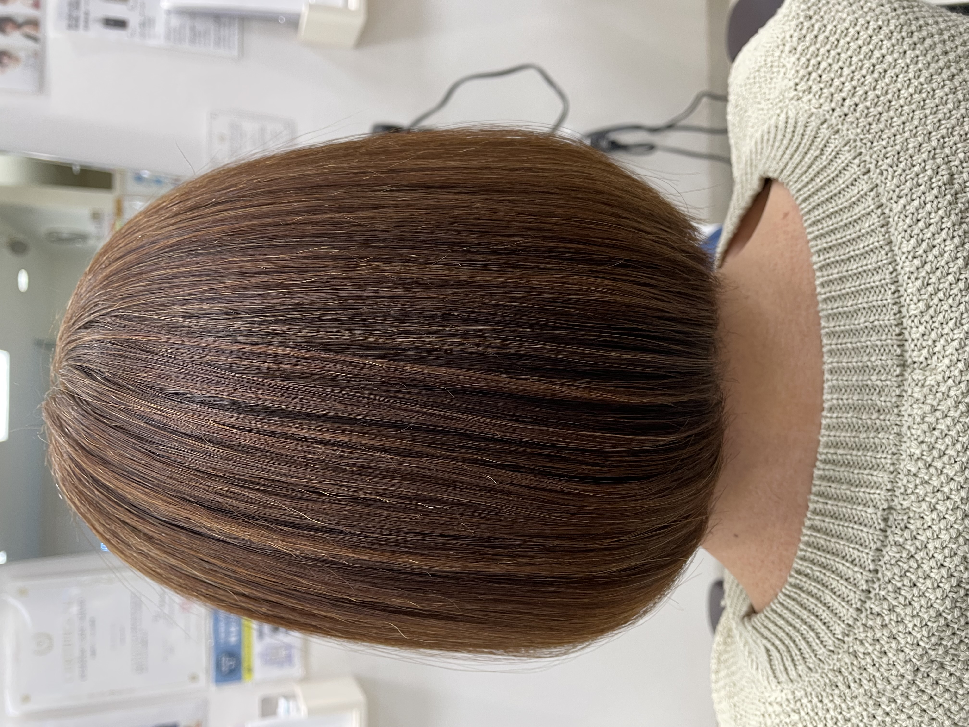 メニューの写真